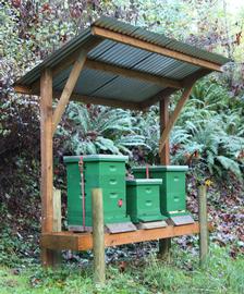  Hive covering to relieve heat stress; photo by Dewey M. Caron
